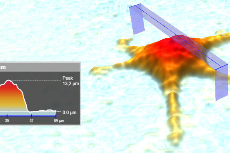 Técnica Imagen in Vivo Banner - Paralab distribuye equipo de in vivo imaging en España.