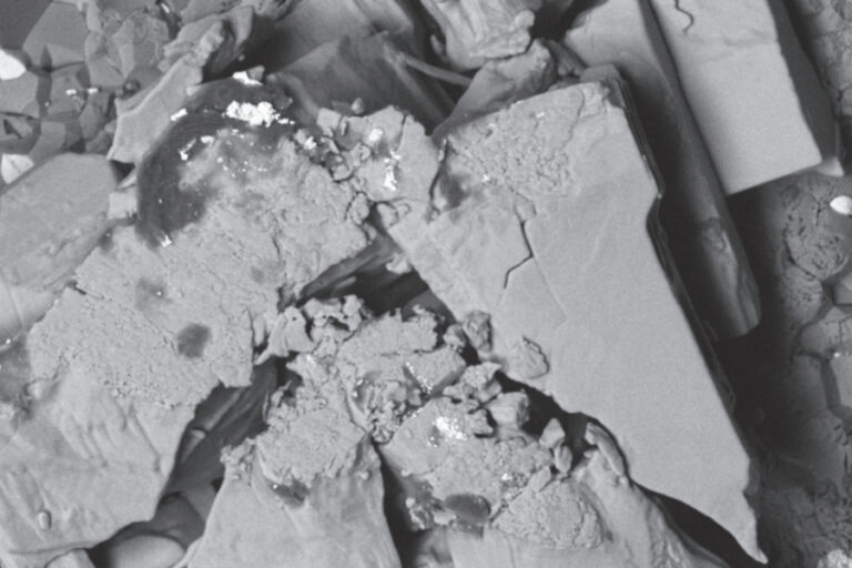 Aplicación Microscopía y Imagen Banner - Paralab distribuye equipo de microCT en España.