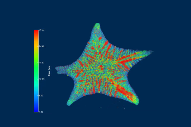 Técnica MicroCT Banner - Paralab distribuye equipo de micro-CT imaging en España.