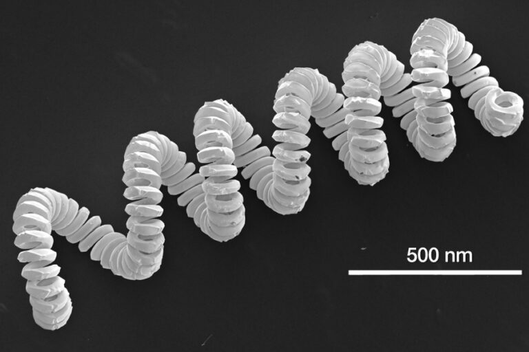 Técnica SEM Banner - Paralab distribuye equipo da gama Phenom SEM en España.
