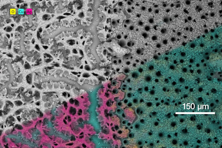 Técnica EDS Banner - Paralab distribuye equipo de energy-dispersive X-ray spectroscopy en España.