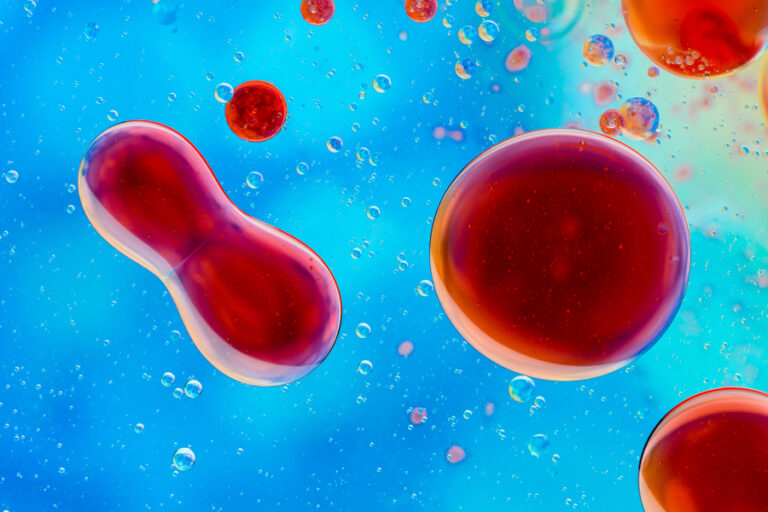 Aplicación Biomoléculas y biopartículas Banner - Paralab distribuye equipo de biomolecules and bioparticles en España.