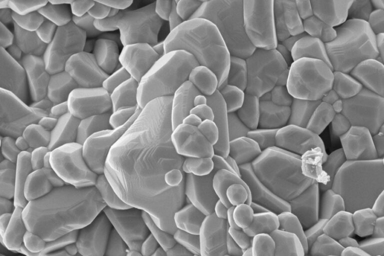 Técnica Microscopía Banner - Paralab distribuye equipo de microscope en España.